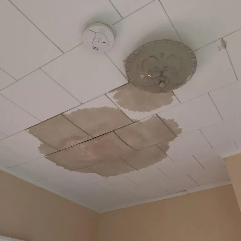 Ceiling Water Damage Repair in Bella Vista, AR