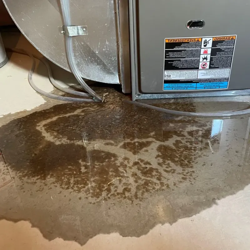 Pipe Burst and Leak Restoration in Bella Vista, AR