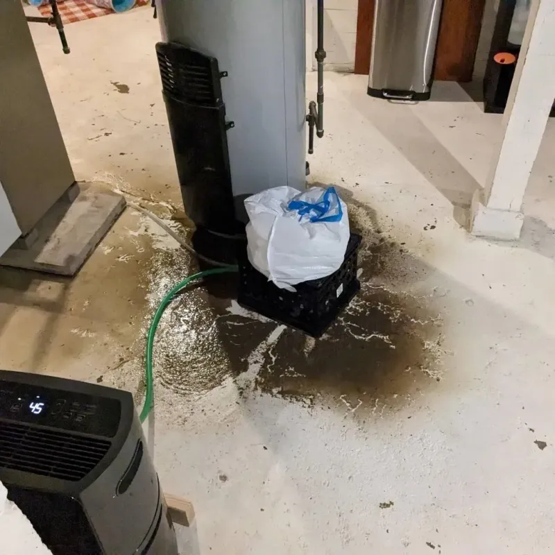 Sewage Backup Cleanup Service in Bella Vista, AR